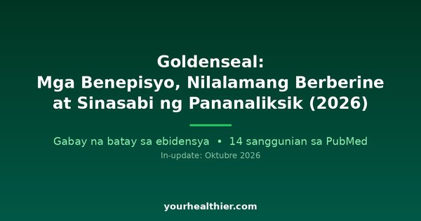 Goldenseal: Mga Benepisyo, Nilalamang Berberine at Sinasabi ng Pananaliksik (2026)