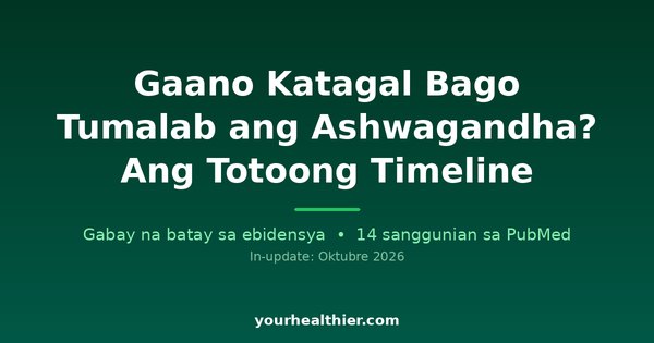 Gaano Katagal Bago Tumalab ang Ashwagandha? Ang Totoong Timeline