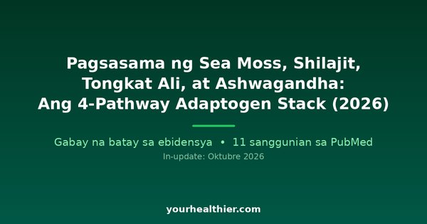 Pagsasama ng Sea Moss, Shilajit, Tongkat Ali, at Ashwagandha: Ang 4-Pathway Adaptogen Stack (2026)