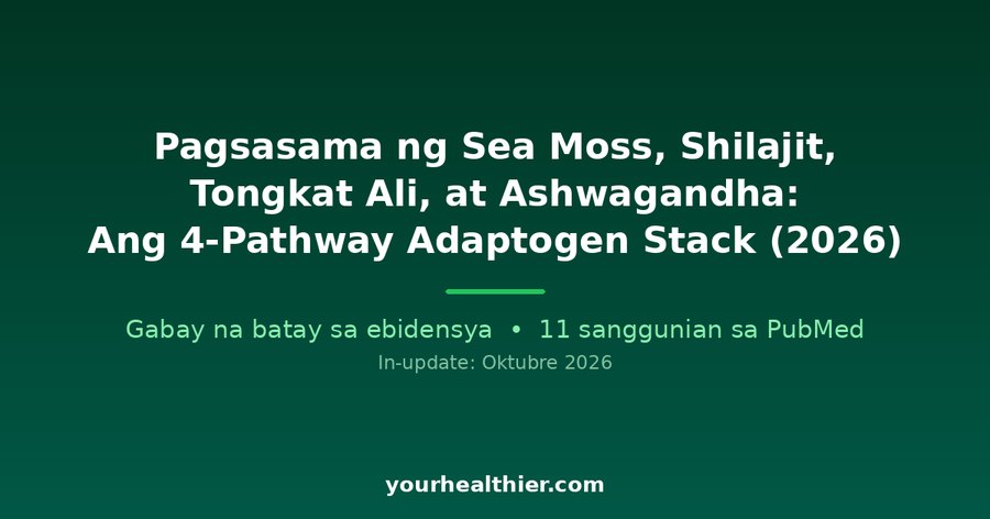 Pagsasama ng Sea Moss, Shilajit, Tongkat Ali, at Ashwagandha: Ang 4-Pathway Adaptogen Stack (2026)