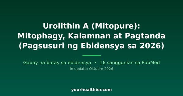 Urolithin A (Mitopure): Mitophagy, Kalamnan at Pagtanda (Pagsusuri ng Ebidensya sa 2026)