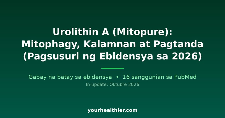 Urolithin A (Mitopure): Mitophagy, Kalamnan at Pagtanda (Pagsusuri ng Ebidensya sa 2026)